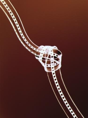 2007最佳科学图片