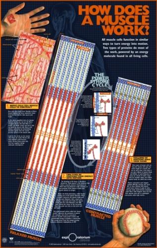 2007最佳科学图片