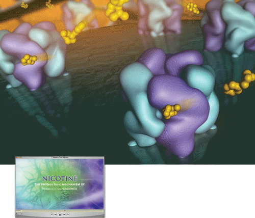 2007最佳科学图片