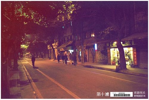 夜游西关