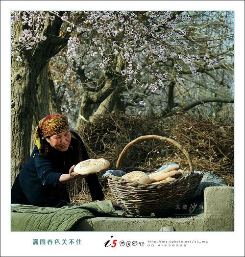 鲁克沁镇杏园采花记(图13)