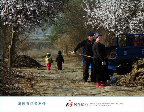 鲁克沁镇杏园采花记(图3)
