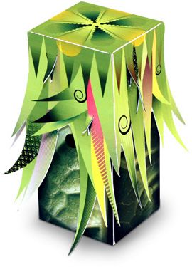 纸质针孔照相机(图5)