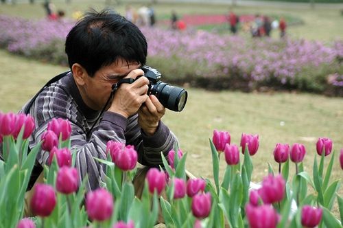摄影态度(图7)