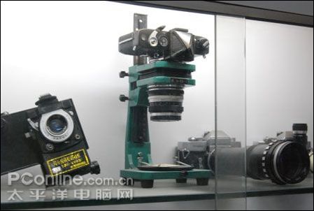 五棵松