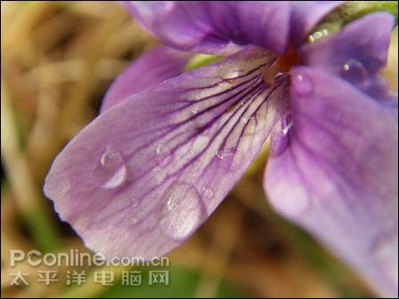 三星 NV33(NV4) 