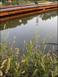 尼康S710评测