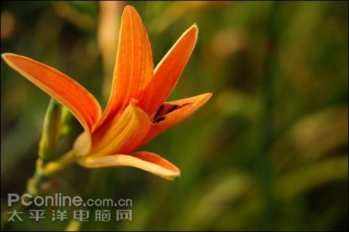 索尼 A350(配18-70mm镜头