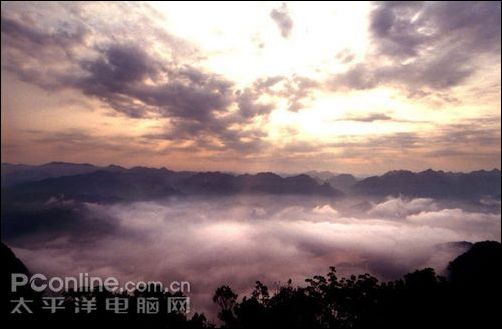 尼康 P80
