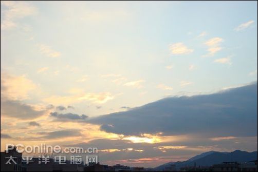 样张