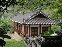 索尼T90样张