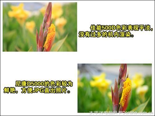 佳能500D对比尼康D5000