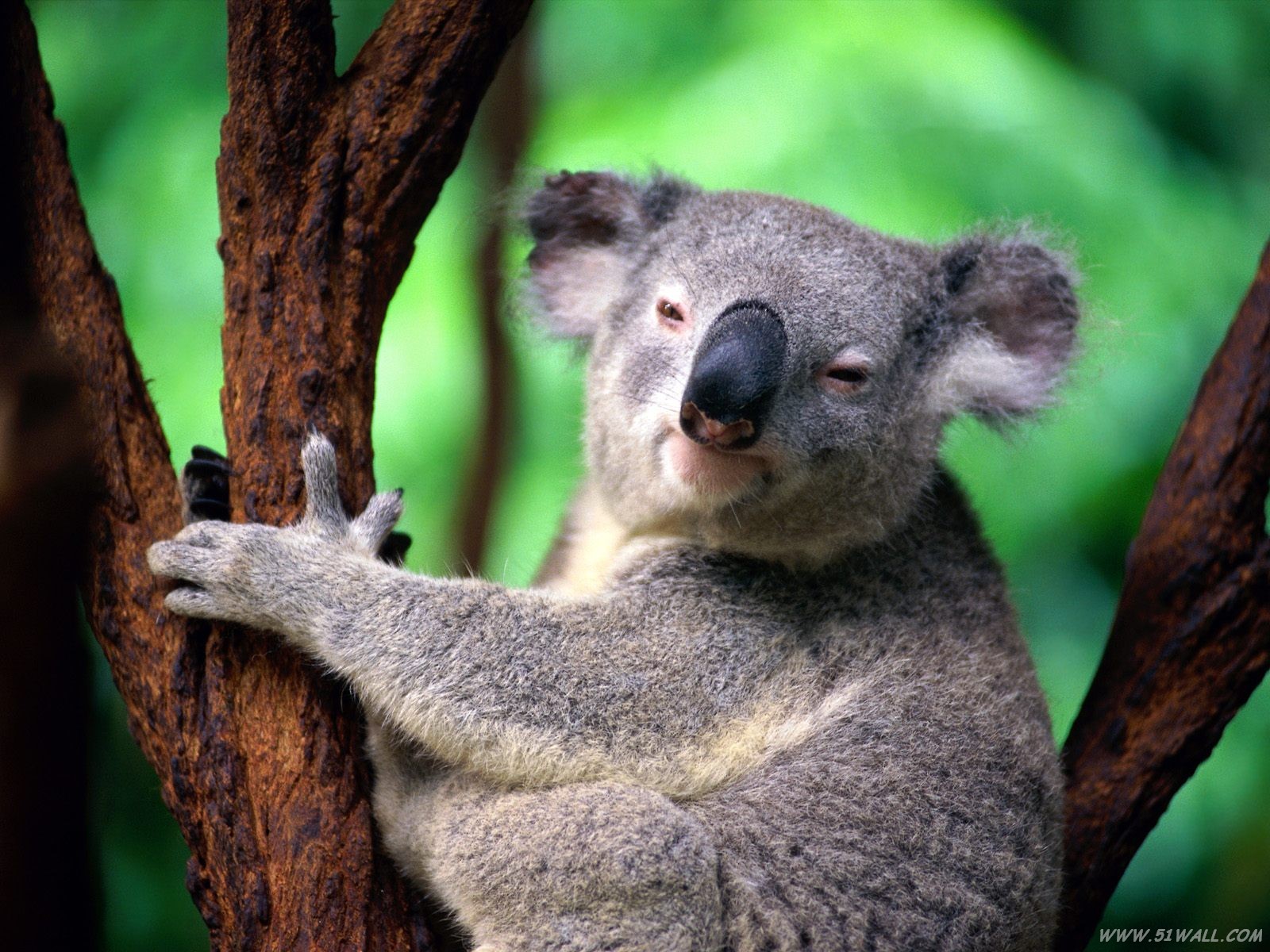 为什么澳大利亚是最值得一去的地方 —— 澳大利亚旅游局