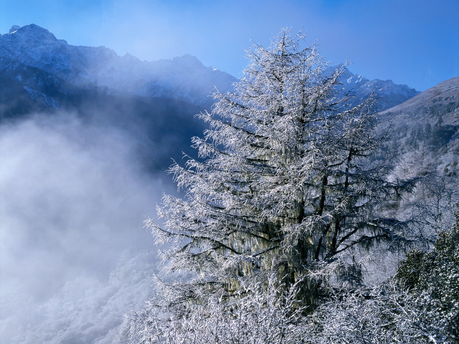 中国名山 冬天雪景壁纸_风景_太平洋电脑网