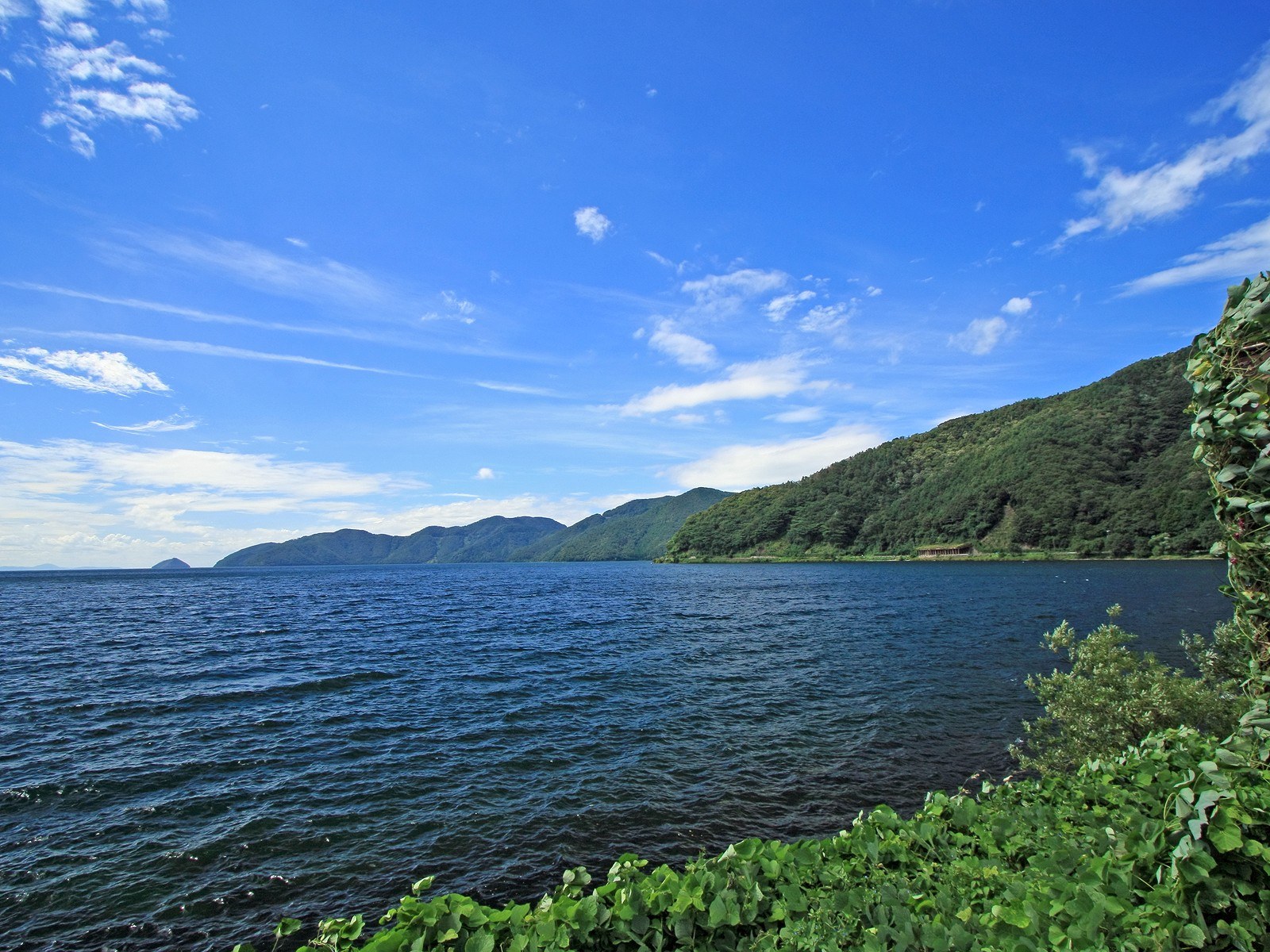 夏日北海道 北海道郊外风景 风景 太平洋电脑网