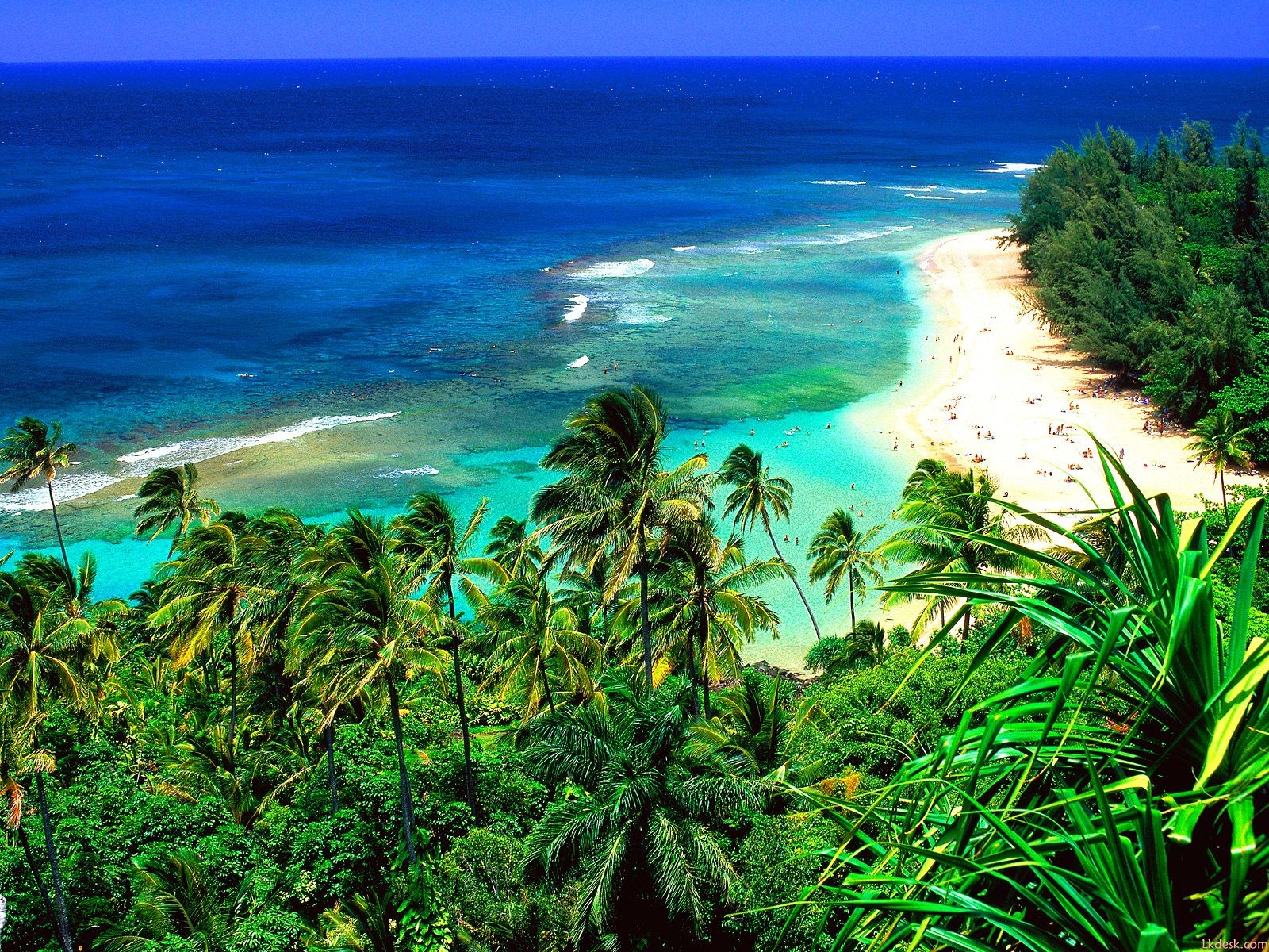夏威夷海滩_夏威夷海滩风景图片_微信公众号文章