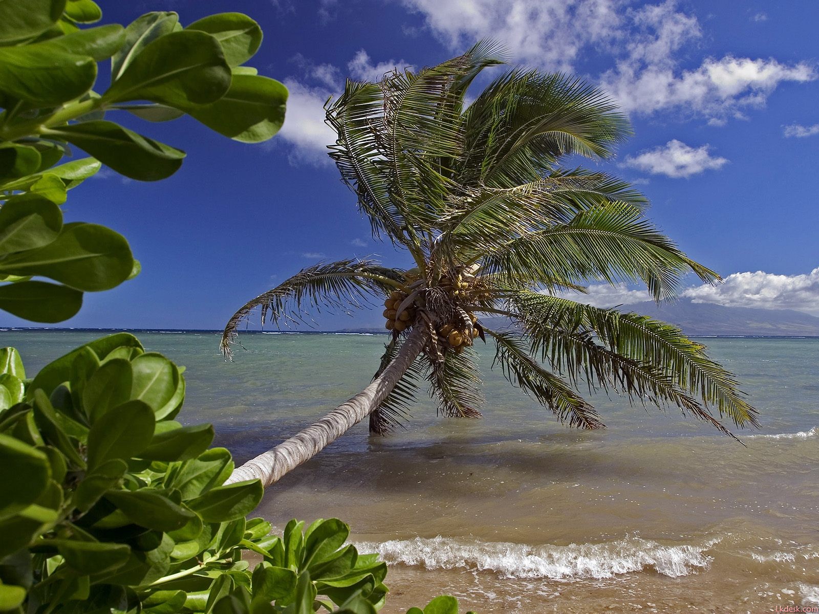 夏威夷旅游指南，带你看看哪些美丽的海滩-第六感度假