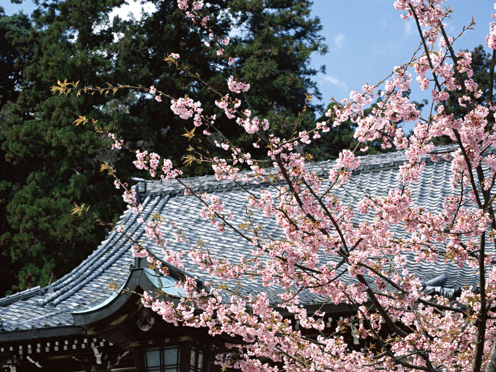 日本京都高清风景壁纸